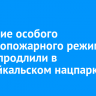 Действие особого противопожарного режима вновь продлили в Прибайкальском нацпарке