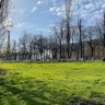 Хинштейн поручил выяснить источник неприятного запаха в микрорайоне Волокно
