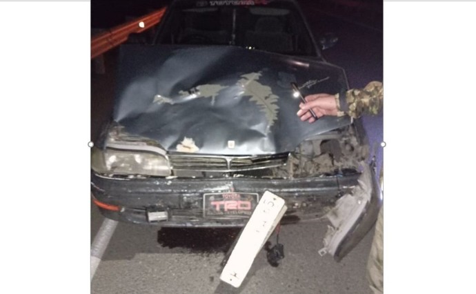 "Я сбила медведя, он где-то ходит": сахалинцев предупреждают о, возможно, раненом хищнике "Я сбила медведя, он где-то ходит": сахалинцев предупреждают о, возможно, раненом хищнике