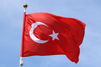 В Турции рассказали об ожиданиях от встречи Путина и Трампа В Турции рассказали об ожиданиях от встречи Путина и Трампа