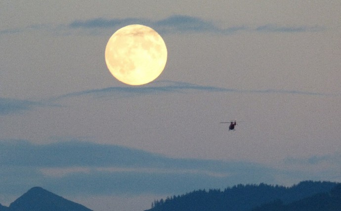 На Сахалине на продажу выставили вертолет Ми-8 На Сахалине на продажу выставили вертолет Ми-8