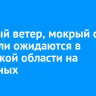 Сильный ветер, мокрый снег и метели ожидаются в Иркутской области на выходных