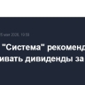 СД АФК "Система" рекомендовал не выплачивать дивиденды за 2025 год