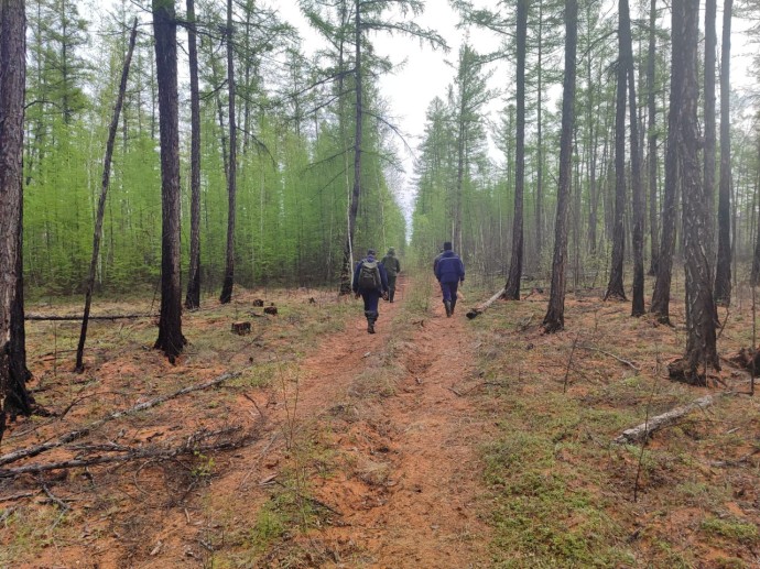 В Чурапчинском районе возобновили поиски потерявшейся пенсионерки В Чурапчинском районе возобновили поиски потерявшейся пенсионерки