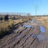 За месяц население Пензенской области сократилось на тысячу человек