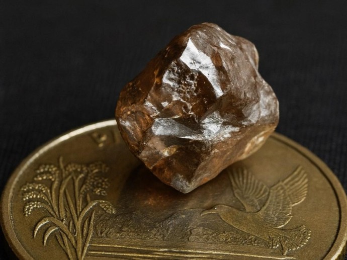 Крупнее жвачки, дороже золота: француз нашёл камень весом 7,5 карата прямо на американском поле