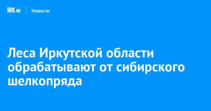 Леса Иркутской области обрабатывают от сибирского шелкопряда