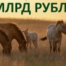 Президентский фонд природы профинансирует 164 экологических проекта