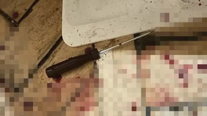 Петербурженка напала на бывшего возлюбленного с ножом и отвёрткой, когда он пришел за вещами Петербурженка напала на бывшего возлюбленного с ножом и отвёрткой, когда он пришел за вещами