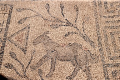 На юго-востоке Турции нашли «христианскую» мозаику с животными