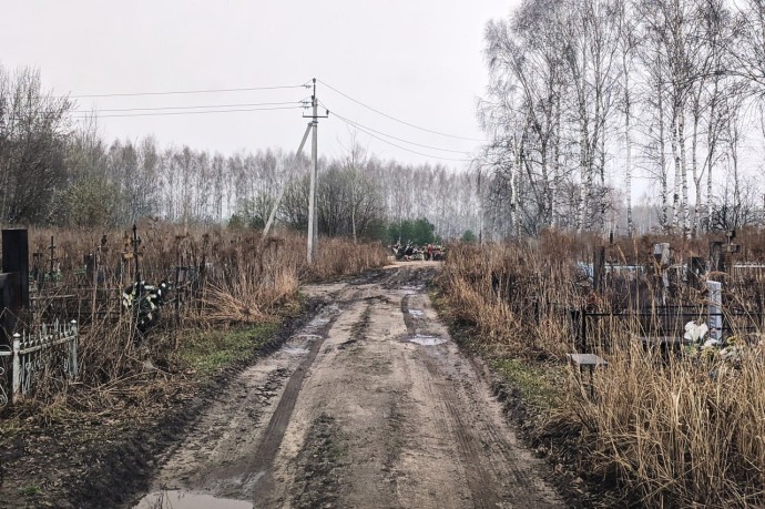 Все кладбища домашних животных в Пензе объявили незаконными