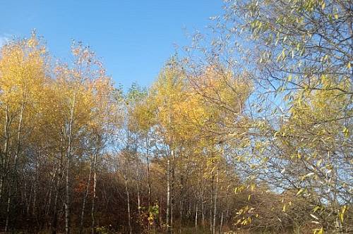 Амурские заказники готовы к пожароопасному сезону Амурские заказники готовы к пожароопасному сезону