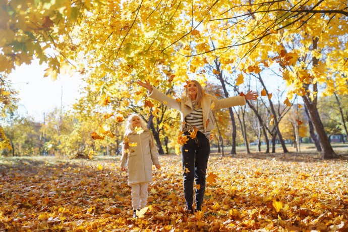 Германия — Золото октября – с привкусом зимы Германия — Золото октября – с привкусом зимы