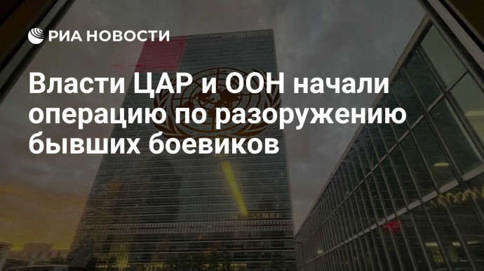 Власти ЦАР и ООН начали операцию по разоружению бывших боевиков