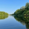 В Курске планируют создать пляж с искусственной серф-волной