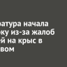 Прокуратура начала проверку из-за жалоб жителей на крыс в Березовом