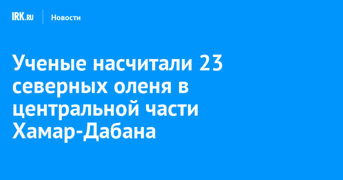 Ученые насчитали 23 северных оленя в центральной части Хамар-Дабана