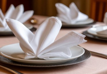 Искусство складывания салфеток