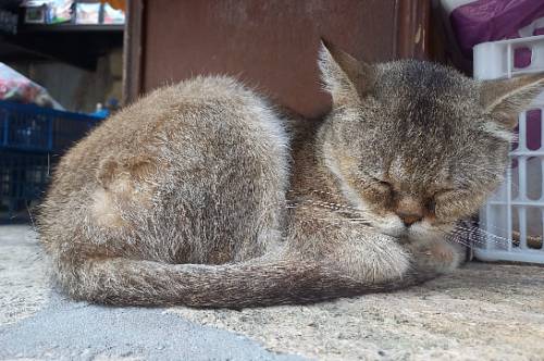 Близнецы спровоцируют неадекватную реакцию людей, Рыбы запутаются в делах и наделают ошибок Близнецы спровоцируют неадекватную реакцию людей, Рыбы запутаются в делах и наделают ошибок