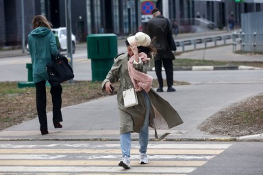 Жителей Москвы попросили быть внимательными во время сильного ветра 14 ноября