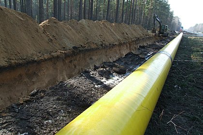 США выдвинули Киеву необычное требование по газопроводу «Газпрома»