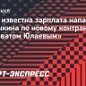 Стала известна зарплата нападающего Алалыкина по новому контракту с «Салаватом Юлаевым»