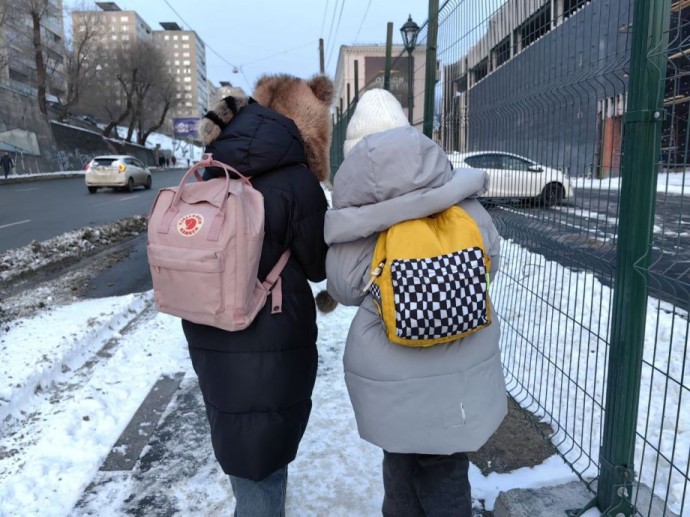 Владивостокским школьникам разрешили не учиться