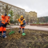 Столичные цветники начали готовить к весенне-летнему сезону