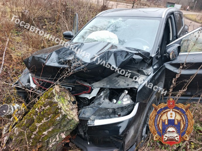В Арсеньевском районе автомобиль врезался в дерево