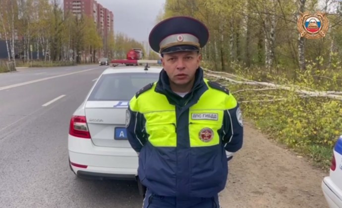 В Ярославле машина врезалась в дерево и перевернулась: водитель погиб