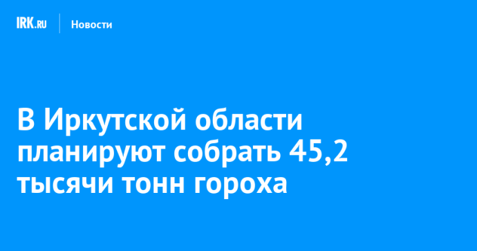 В Иркутской области планируют собрать 45,2 тысячи тонн гороха