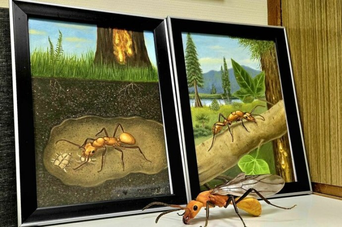 Почему у муравьев нет демократии? Почему у муравьев нет демократии?