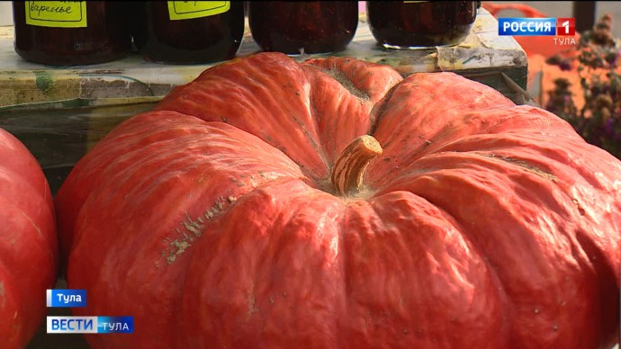 Сенсация: тыква сжигает жировые клетки Сенсация: тыква сжигает жировые клетки