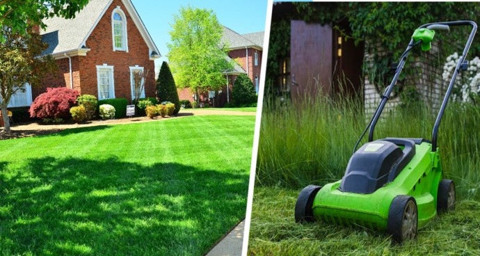 Следуй 3 простым правилам и твой газон останется пышным и зелёным даже в засуху