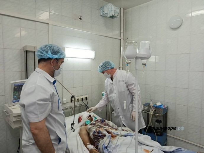 В Башкирии медведь напал на человека