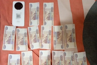 В Херсонской области ремонтник похитил у пенсионерки мобильник и 10 тысяч рублей