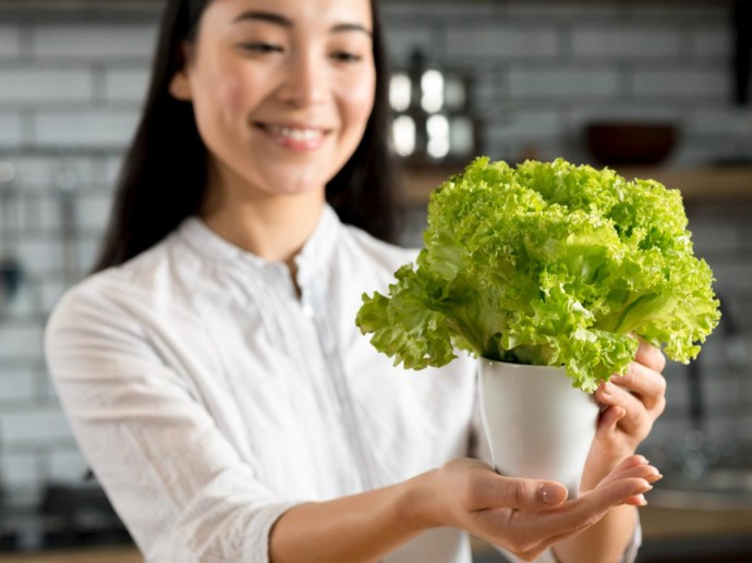 Выращивание салата на подоконнике требует досветки — овощеводы Выращивание салата на подоконнике требует досветки — овощеводы