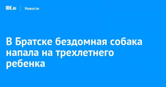 В Братске бездомная собака напала на трехлетнего ребенка