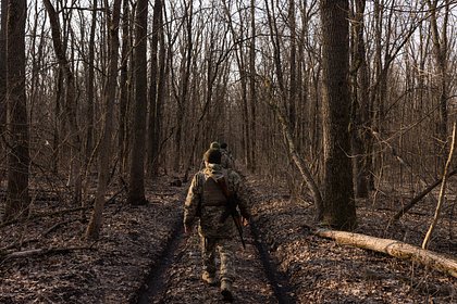 Нарушение Украиной пасхального перемирия прокомментировали