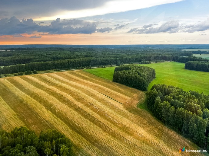 В 19 районах Кировской области из-за гибели посевов ввели режим ЧС В 19 районах Кировской области из-за гибели посевов ввели режим ЧС