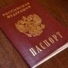 От убийства до экстремизма: в Госдуме объяснили, за что в России могут лишить приобретенного гражданства