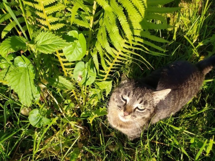 Больше пить: костромичам рассказали, как дожить до лета Больше пить: костромичам рассказали, как дожить до лета