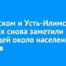 В Братском и Усть-Илимском районах снова заметили медведей около населенных пунктов