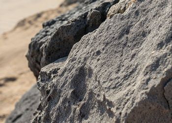 В Приамурье компания завалила скальником сельхозучасток В Приамурье компания завалила скальником сельхозучасток