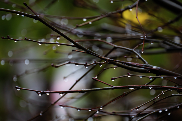 Синоптик спрогнозировал дождливую погоду в столице во вторник