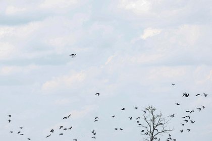 В России рассказали о беспокойстве Европы из-за неопознанных беспилотников