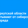 Леса Иркутской области обрабатывают от сибирского шелкопряда