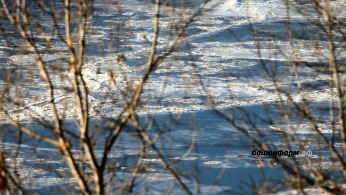 В Башкирии температура воздуха прогреется до +15°С