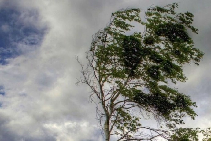 В Башкирии понедельник будет ветреным