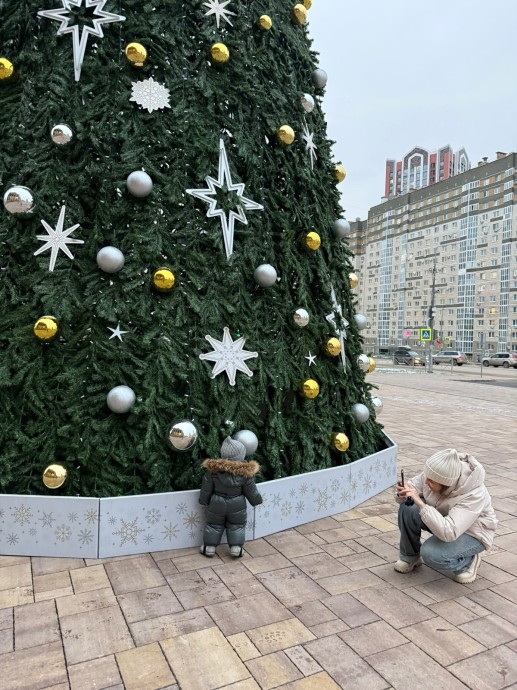 Спасатели Башкирии рассказали правила установки новогодней ели